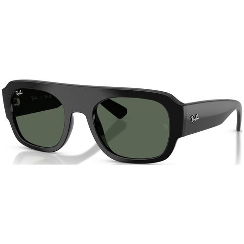 RB2218 C55 667771- RB2218 C55 667771-